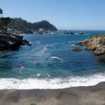 A Commitment to the Coast