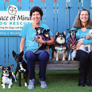 peace-of-mind-dog-rescue